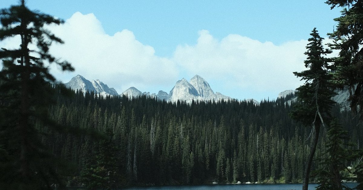 Weekly Markets: Discover a 30% Footfall Lift, KPIs & Case Study