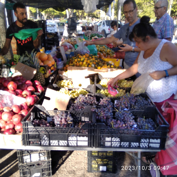 Mercadillo del Estadio - Weekly market in Almería