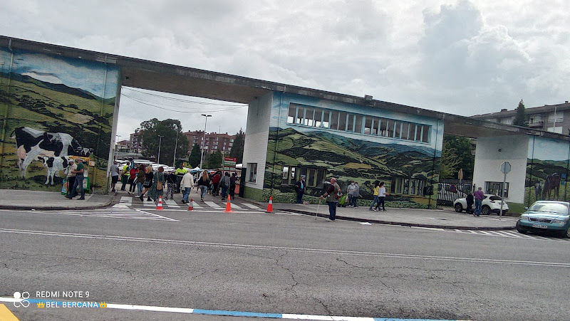 Mercadillo Semanal - Mercadillo in Torrelavega